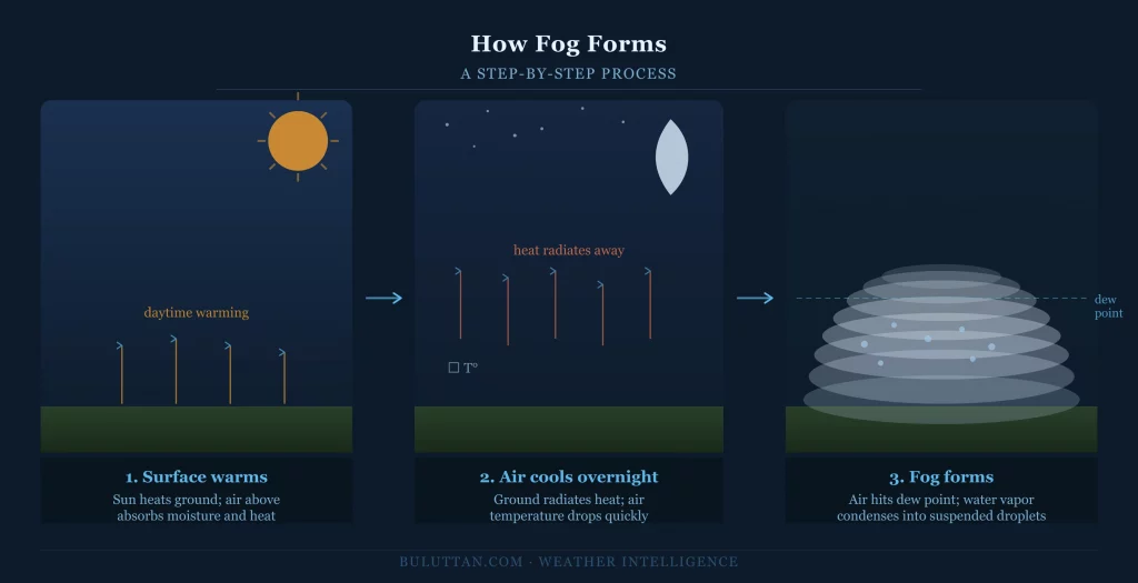 Infographic showing the three-step process of fog formation: surface warming during the day, rapid cooling overnight, and condensation at the dew point forming suspended water droplets.